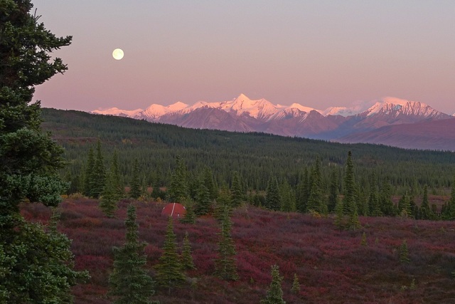 Denali