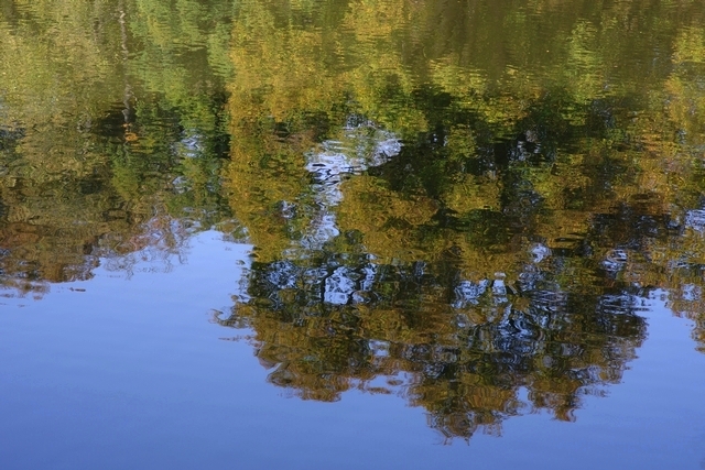 Reflet